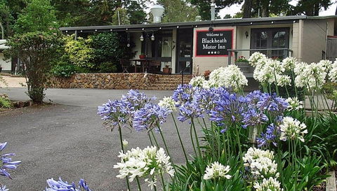 Blackheath Motor Inn - Accommodation Sunshine Coast 0
