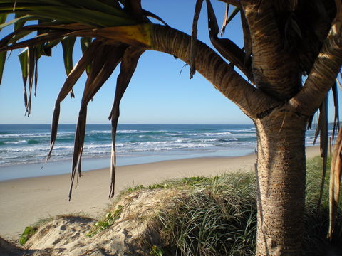 Horizons At Peregian - Accommodation Sunshine Coast 0