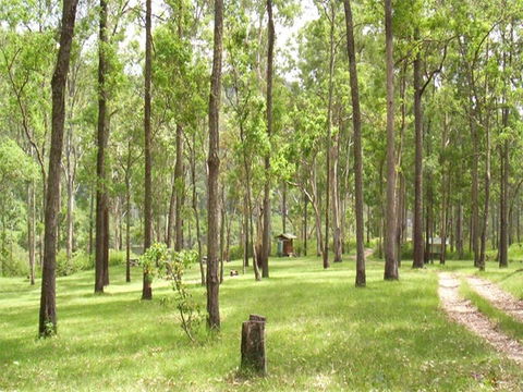 Nymboida River Campground - Accommodation Sunshine Coast 0