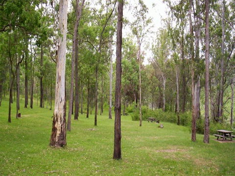 Nymboida River Campground - Accommodation Sunshine Coast 1