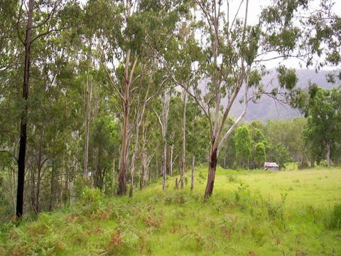 Nymboida River Campground - Accommodation Sunshine Coast 2