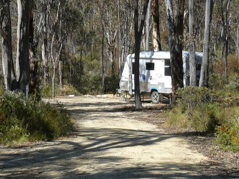 Blatherarm Campground And Picnic Area - Accommodation Sunshine Coast 1