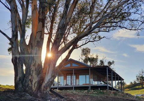 Kestrel Nest EcoHut - Accommodation Sunshine Coast 0