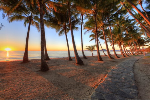 NRMA Palm Cove Holiday Park - Accommodation Sunshine Coast 0