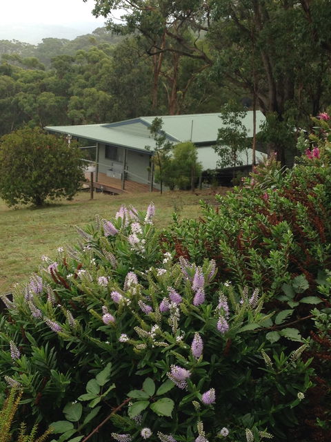 Southern Anchorage Retreat - Accommodation Sunshine Coast 1