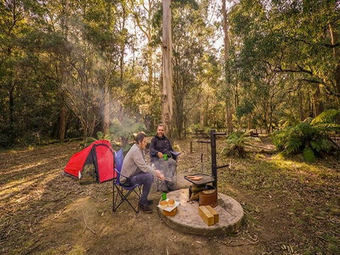 Thungutti Campground - Accommodation Sunshine Coast 0