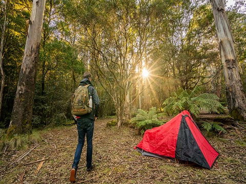 Thungutti Campground - Accommodation Sunshine Coast 1