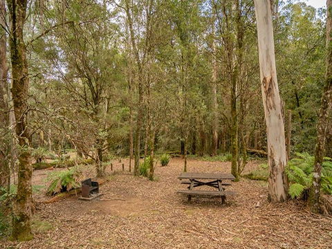 Thungutti Campground - Accommodation Sunshine Coast 2