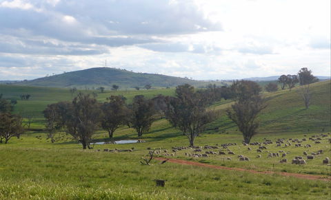 Wantana Cottage Farm Stay - Accommodation Sunshine Coast 0