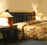 Comfort Inn Treetop Walk - Accommodation Sunshine Coast