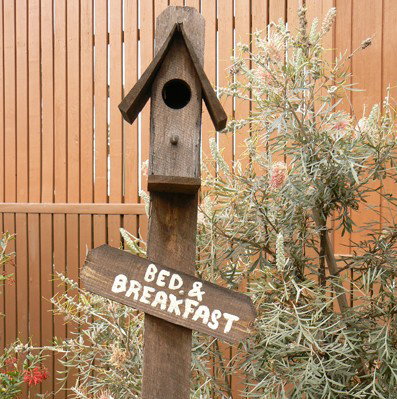 Ashby NSW Accommodation Sunshine Coast
