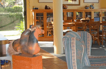 Tree Elle Retreat - Accommodation Sunshine Coast 2