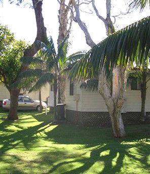 Arrawarra Beach Holiday Park - Accommodation Sunshine Coast 1
