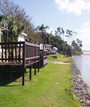 Arrawarra Beach Holiday Park - Accommodation Sunshine Coast 2
