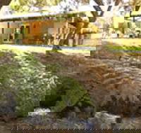 Peppermint House on 79 Tunbridge Street - Accommodation Sunshine Coast