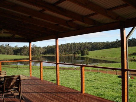Diamond Tree Farm Stay - Accommodation Sunshine Coast 3