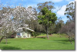 Country Cottages - Accommodation Sunshine Coast 0
