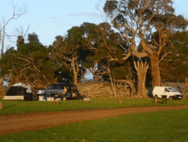 Ayr Sailean - Accommodation Sunshine Coast 5