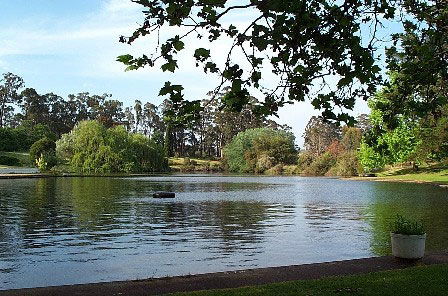 Fontys Pool Caravan Park - Accommodation Sunshine Coast 3