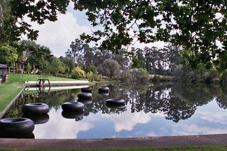 Fontys Pool Caravan Park - Accommodation Sunshine Coast 5