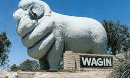 Wagin Motel - Accommodation Sunshine Coast 0