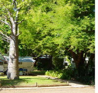Town Caravan Park - Accommodation Sunshine Coast