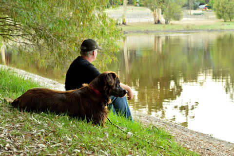 Diamond Forest Farm Stay - Accommodation Sunshine Coast 2