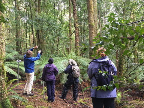 Forest Walks Lodge - Eco-Accommodation - Accommodation Sunshine Coast 1