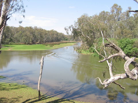 The Shanty Waterside Cottages - Accommodation Sunshine Coast 0