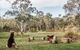 Warialda - thumb 1