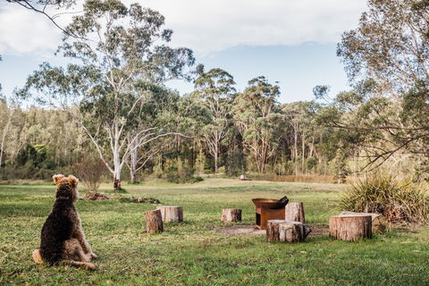 Warialda - Accommodation Sunshine Coast 1