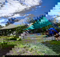 Banksia Green campground - Accommodation Sunshine Coast