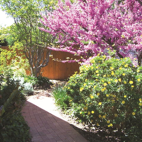 Country Gardens Motor Inn - Accommodation Sunshine Coast 1