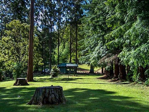 Dingo Tops Campground - Accommodation Sunshine Coast 0