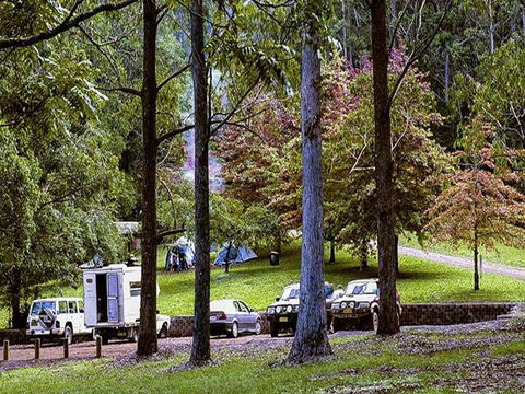Dingo Tops Campground - Accommodation Sunshine Coast 2