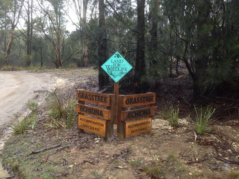 Echidna On Bruny - Accommodation Sunshine Coast 1