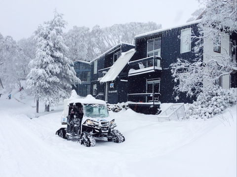 Kilimanjaro Alpine Apartments - Accommodation Sunshine Coast 2