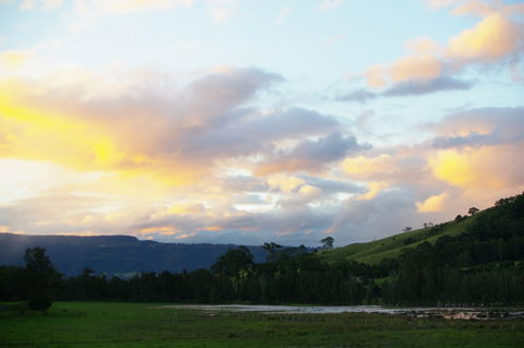 Back Forest Retreat - Accommodation Sunshine Coast 0