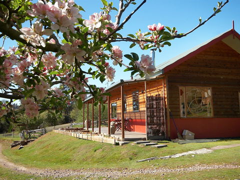 Elvenhome Farm Cottage - Accommodation Sunshine Coast 1