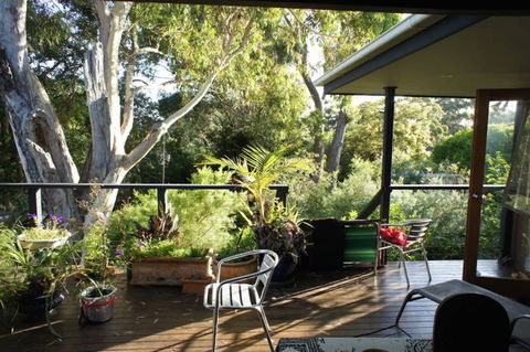 Kookaburra Dreaming - Accommodation Sunshine Coast 2