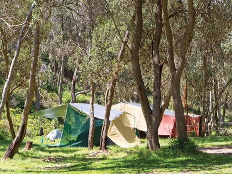 Pebbly Beach Campground - Yuraygir National Park - Accommodation Sunshine Coast 1