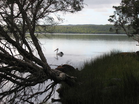 The Cove - Accommodation Sunshine Coast 0