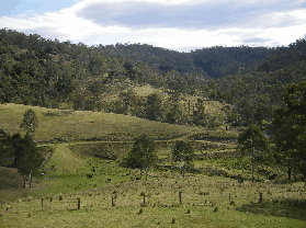 Yasuragi Cabins - Accommodation Sunshine Coast 0