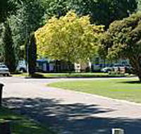 Mitchell Gardens Holiday Park - Accommodation Sunshine Coast
