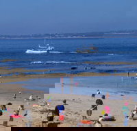 QueenscliffeTourist Park - Accommodation Sunshine Coast