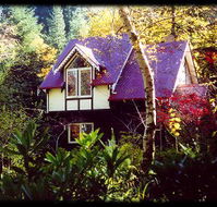 Forest Glade Olinda - Accommodation Sunshine Coast