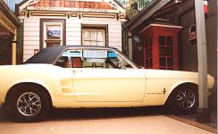 Cruzin The 50s 60s Bed And Breakfast - Accommodation Sunshine Coast 5