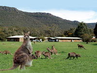 Halls Gap Log Cabins - Accommodation Sunshine Coast 2