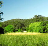 Waterholes Guest House - Accommodation Sunshine Coast