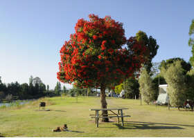 Stratford On The River Tourist Park - Accommodation Sunshine Coast 2